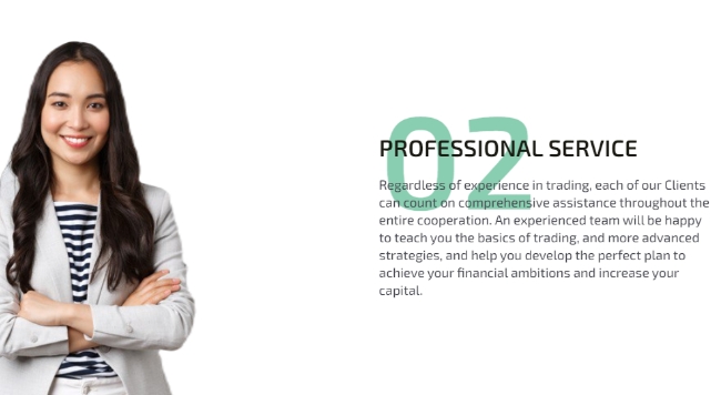 professional service